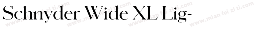 Schnyder Wide XL Lig字体转换